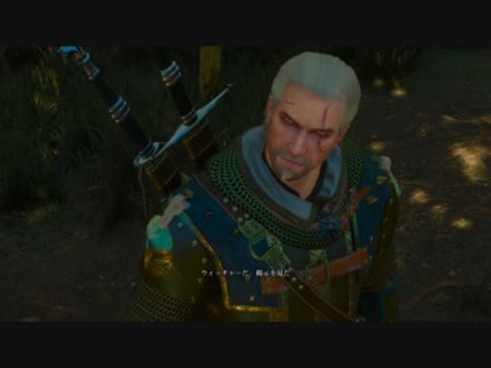 人気の Witcher3 動画 759本 6 ニコニコ動画