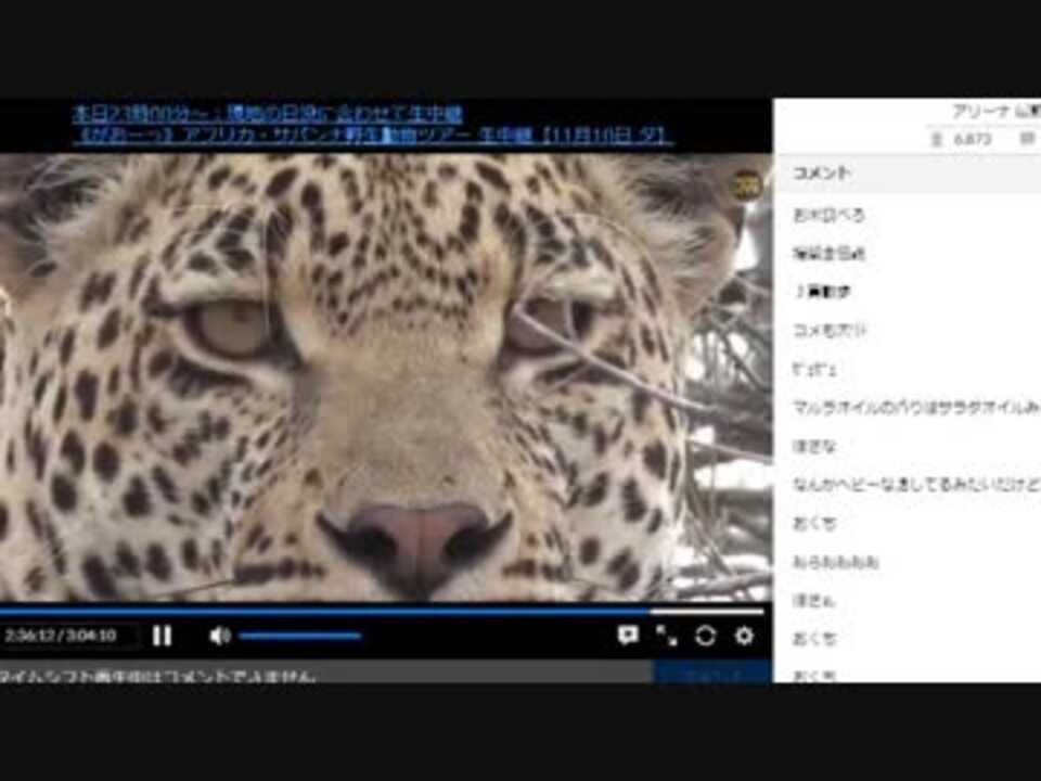 人気の ヒョウ 動画 141本 5 ニコニコ動画