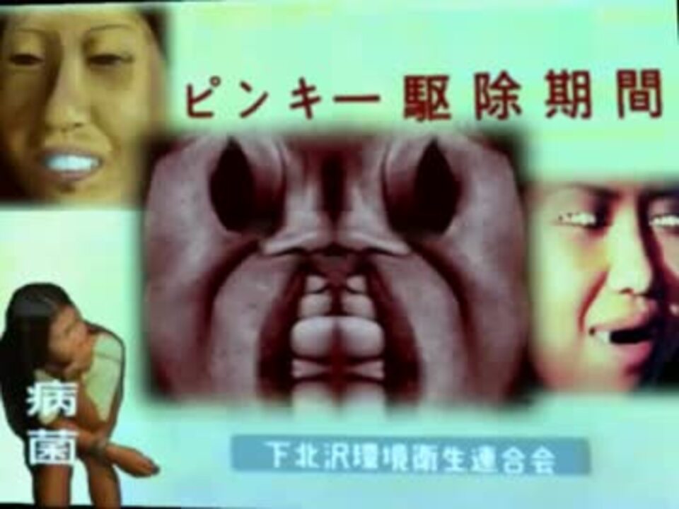 テレビ下北沢 ローカルcm ピンキー駆除強化月間 ニコニコ動画