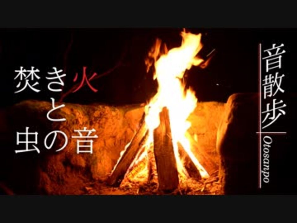 作業用bgm 焚き火と虫の音 前編 ニコニコ動画