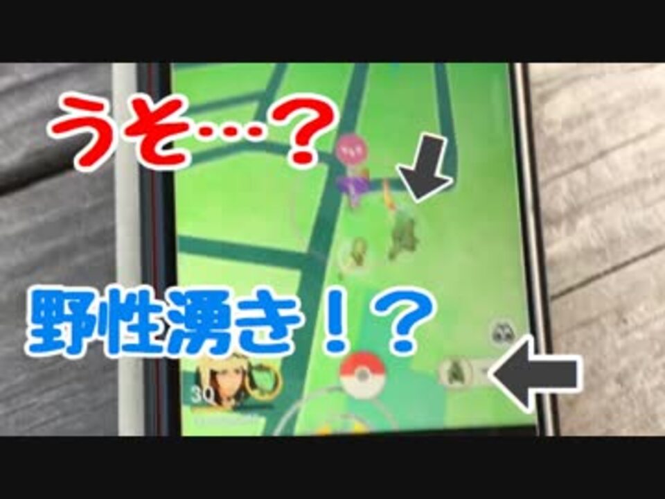 ポケモンgo 野生で湧いたあの方 ニコニコ動画