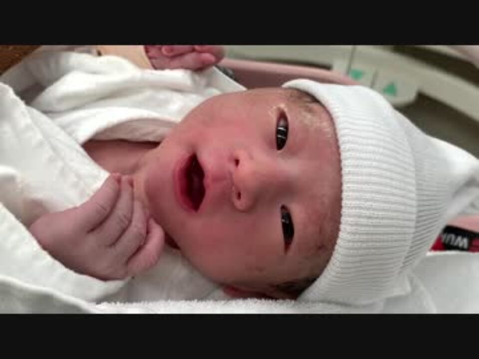 人気の かわいい 子供 動画 38本 ニコニコ動画
