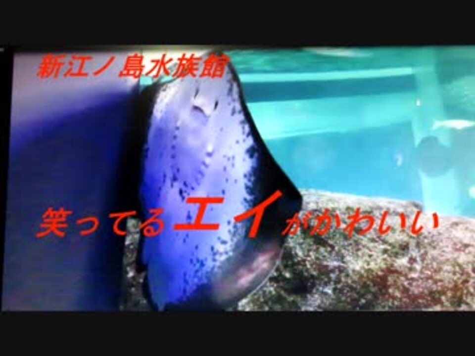 人気の えい えい えい 動画 233本 2 ニコニコ動画