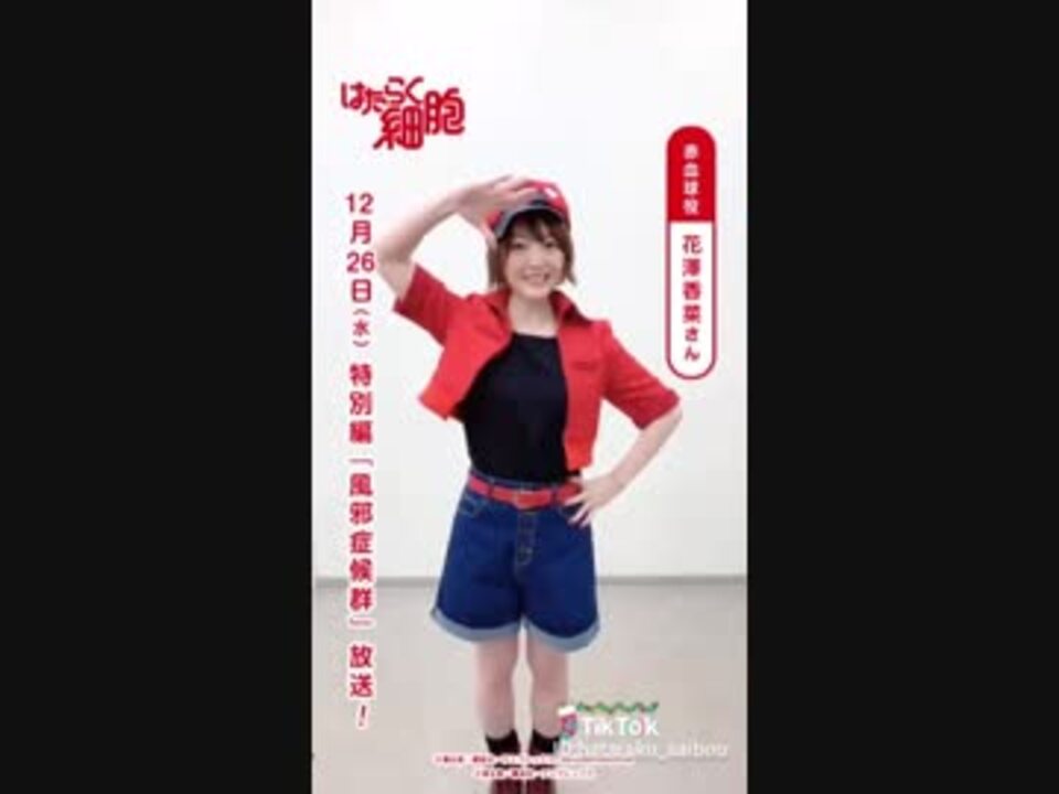 はたらく細胞 赤血球 花澤香菜 のtiktok動画 ニコニコ動画