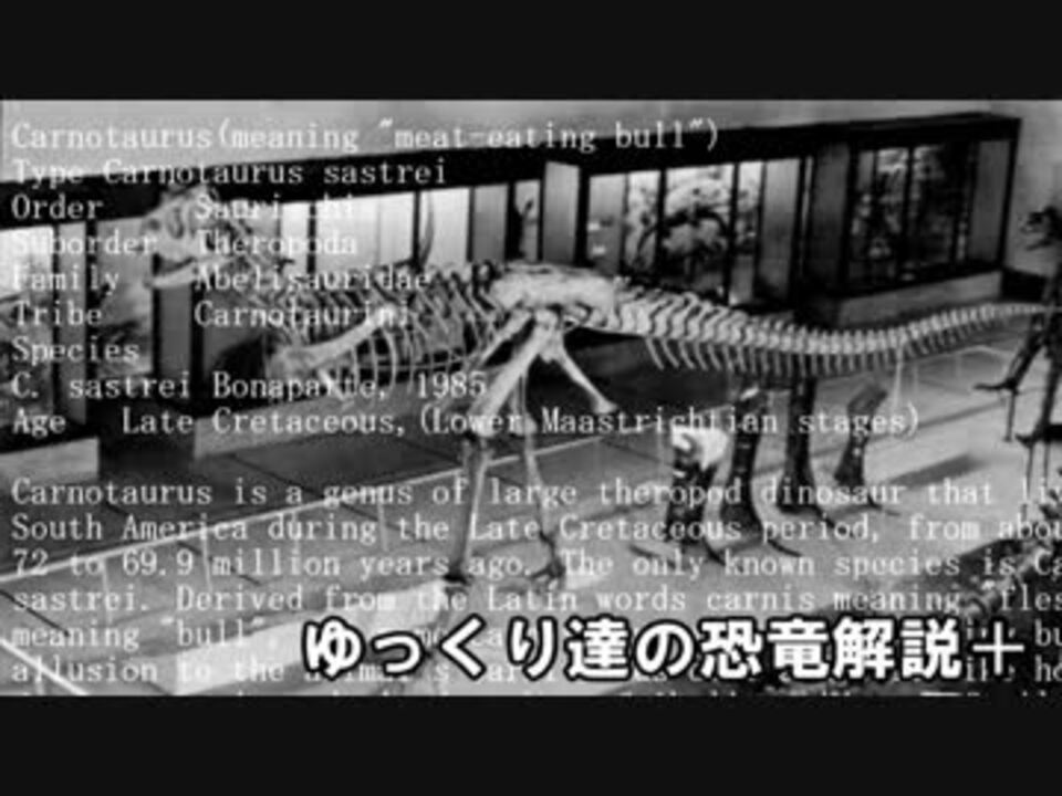 ゆっくり達の恐竜解説 第十二回 アンフィコエリアス ニコニコ動画