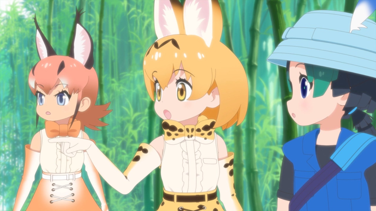 けものフレンズ２ 全12件 Dアニメストア ニコニコ支店のシリーズ ニコニコ動画