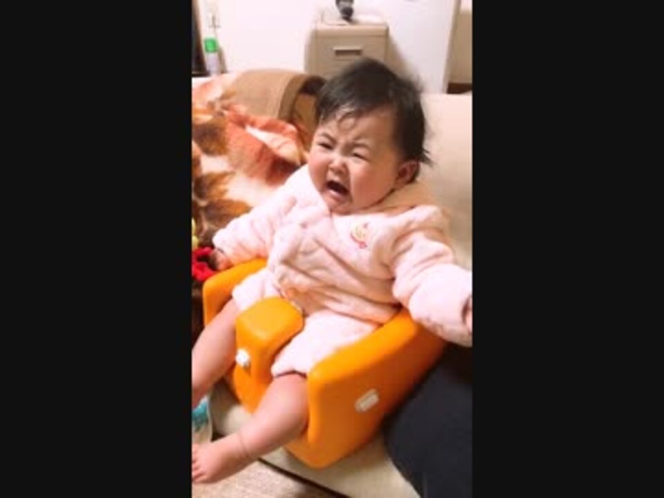 人気の 赤ちゃんが泣き止む動画 動画 15本 ニコニコ動画