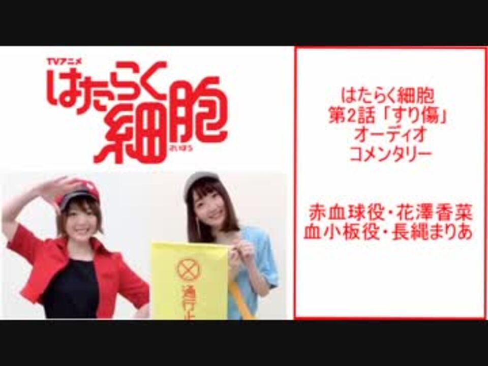 赤血球 血小板ちゃんオーディオコメンタリー ニコニコ動画