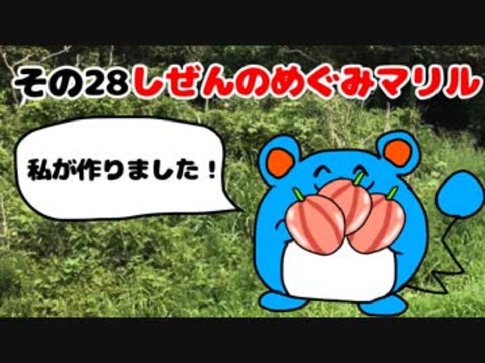 マリルの時間その２８ しぜんのめぐみマリル ニコニコ動画