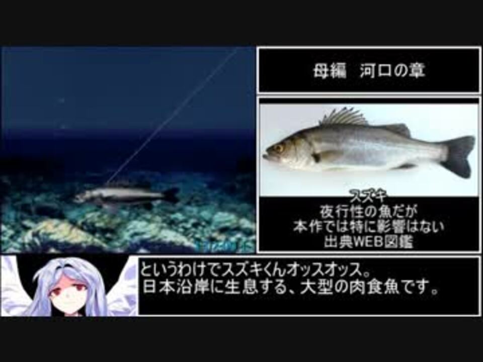川のぬし釣り 秘境を求めて 影のぬし釣りrta 4時間32分7 1秒 Part2 6 ニコニコ動画