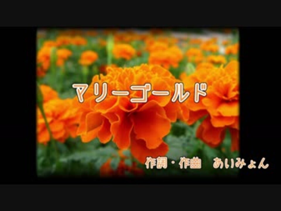 歌ってみた マリーゴールド あいみょん 旦那 ニコニコ動画
