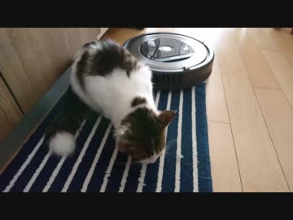 ルンバ ゴミですね 猫 エサ消えた ニコニコ動画