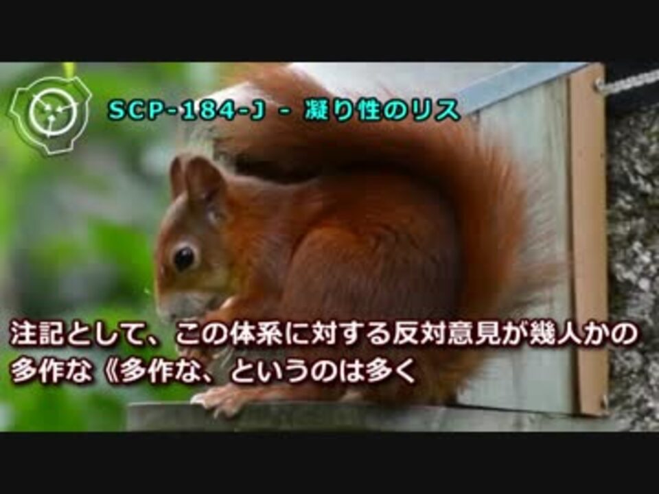 Scp 184 J 凝り性のリス ニコニコ動画