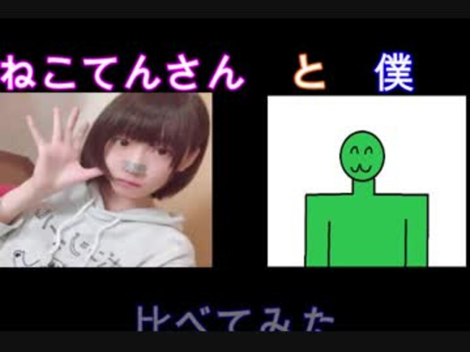 人気の ねこてん 動画 本 ニコニコ動画