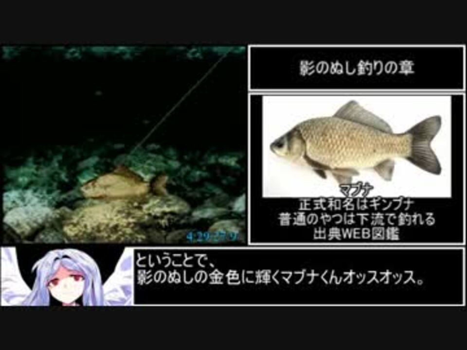 人気の 川のぬし釣り 秘境を求めて 動画 118本 2 ニコニコ動画