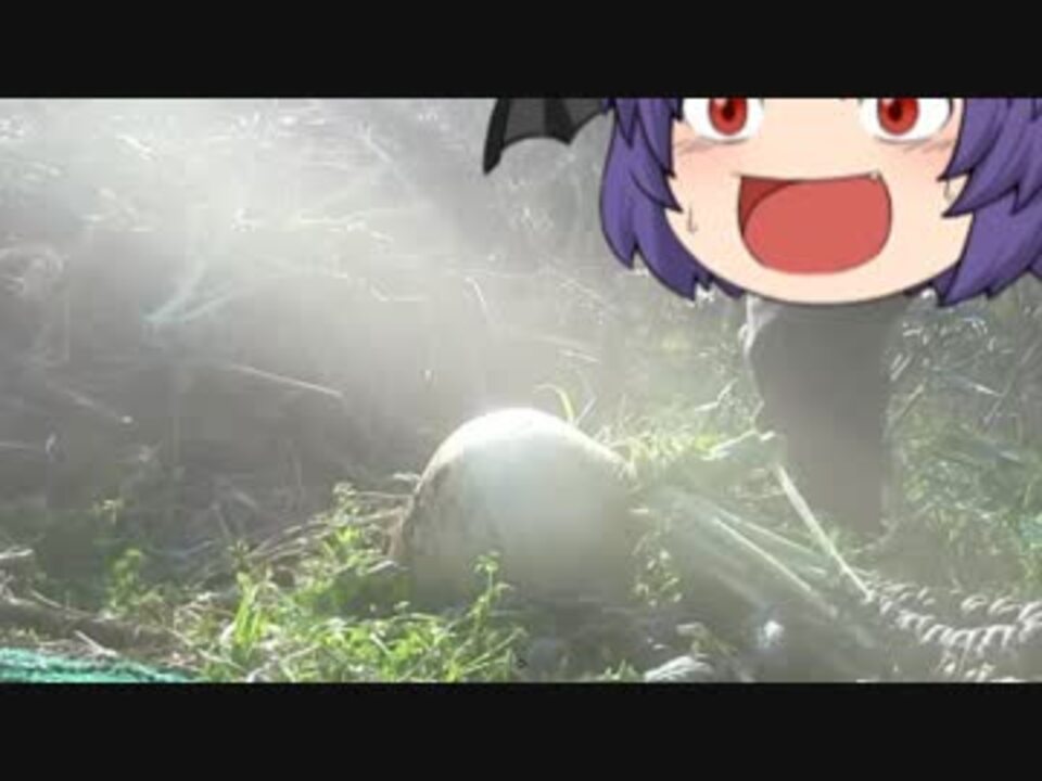 ゆっくり農民102桜島大根を育ててみませんか ニコニコ動画