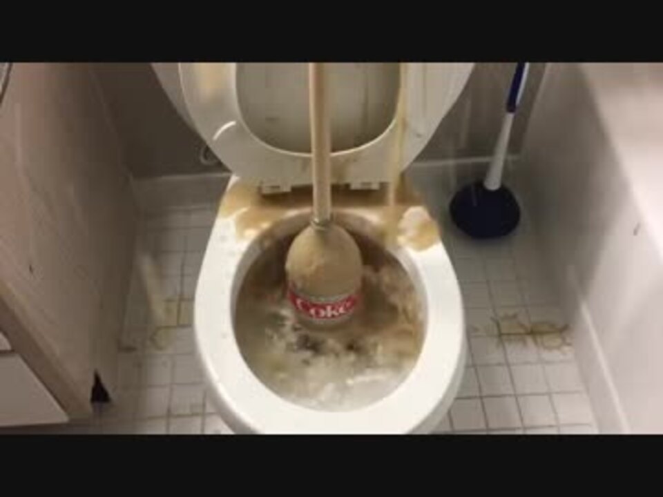 メントスコーラをトイレに流してみた1 ニコニコ動画