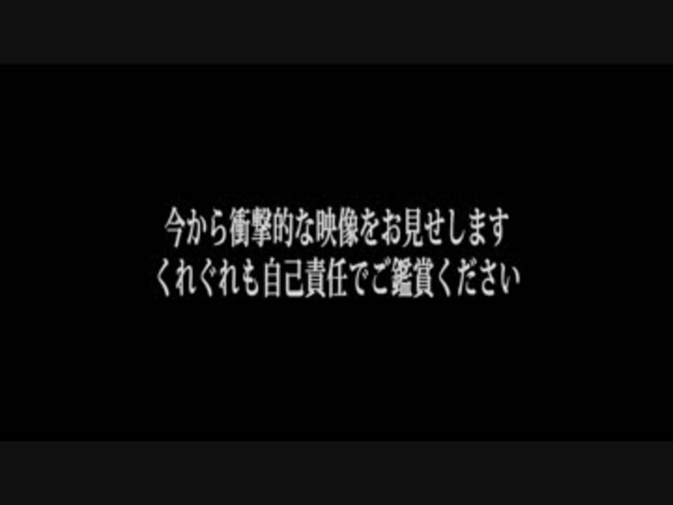 人気の ほんとにあった 呪いのビデオ 動画 本 ニコニコ動画