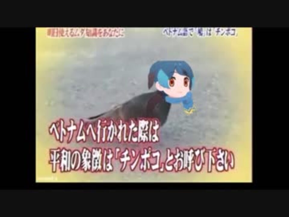 ケモビアの泉 ベトナム語でハトはチンポコ ニコニコ動画