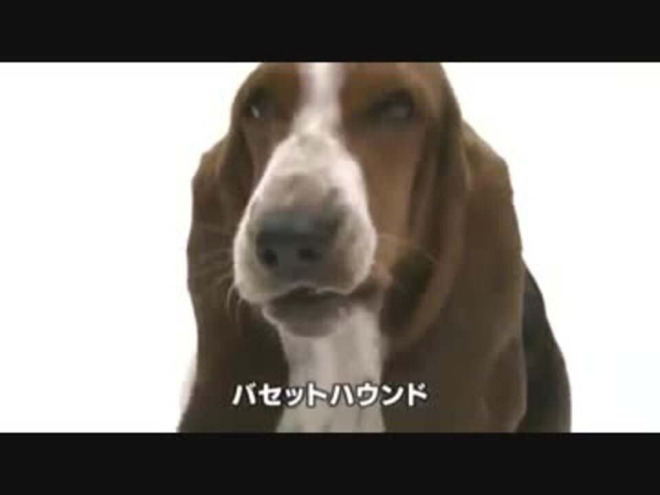 ホモと観る映画制作の裏側 スカイ クロラ ニコニコ動画