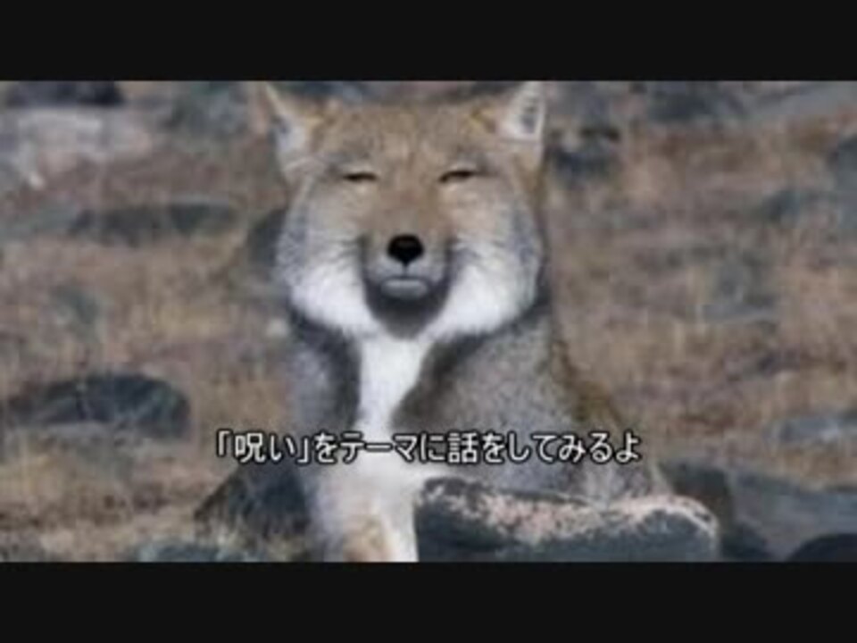 人気の チベットスナギツネ 動画 47本 ニコニコ動画