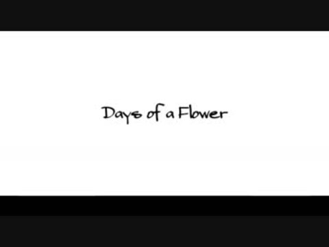 Days of a Flower