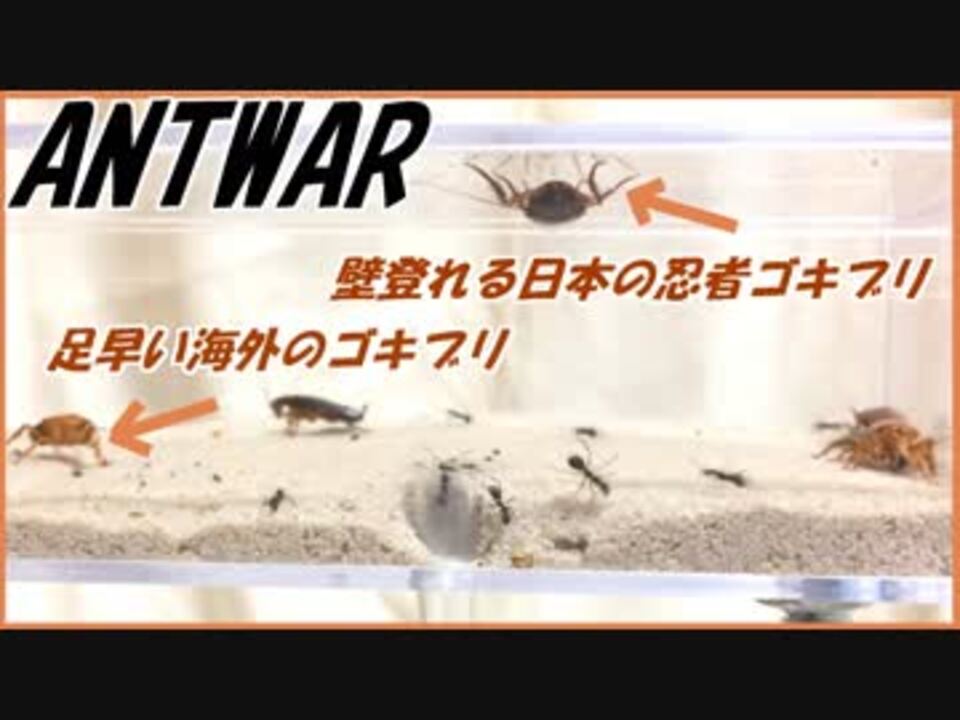 人気の ゴキじゃむ 動画 109本 3 ニコニコ動画