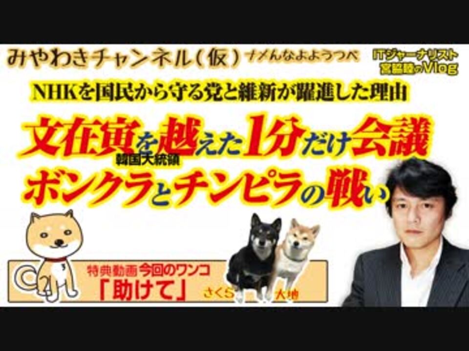 Nhkから国民を守る党 チンピラ