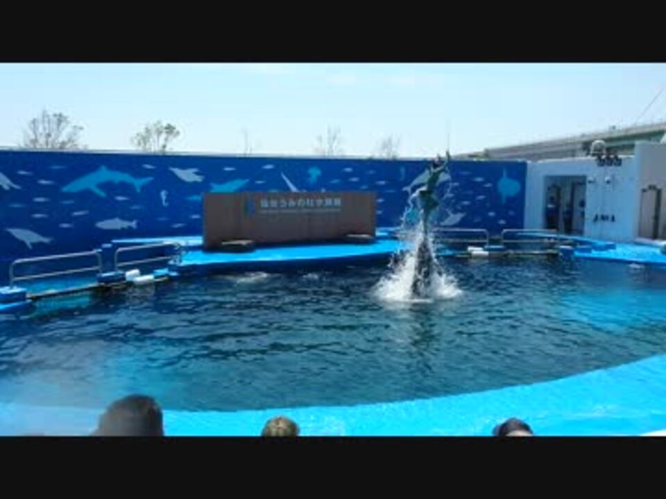 人気の 仙台うみの杜水族館 動画 16本 ニコニコ動画