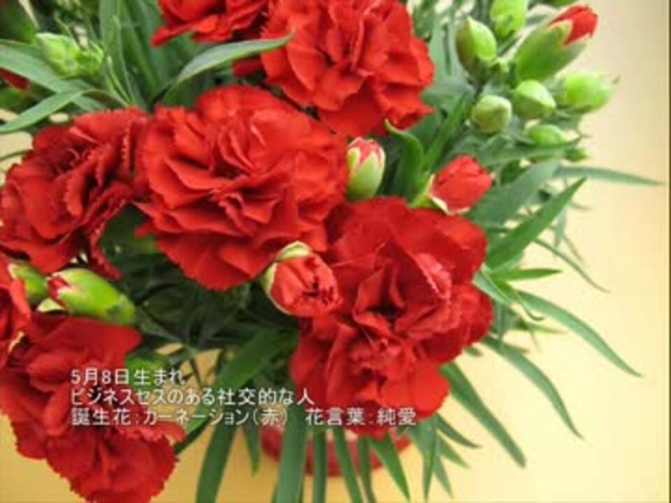 誕生日に贈る言葉 5月8日生まれの温かくて社交的なあなたに 聴きものがたり ニコニコ動画