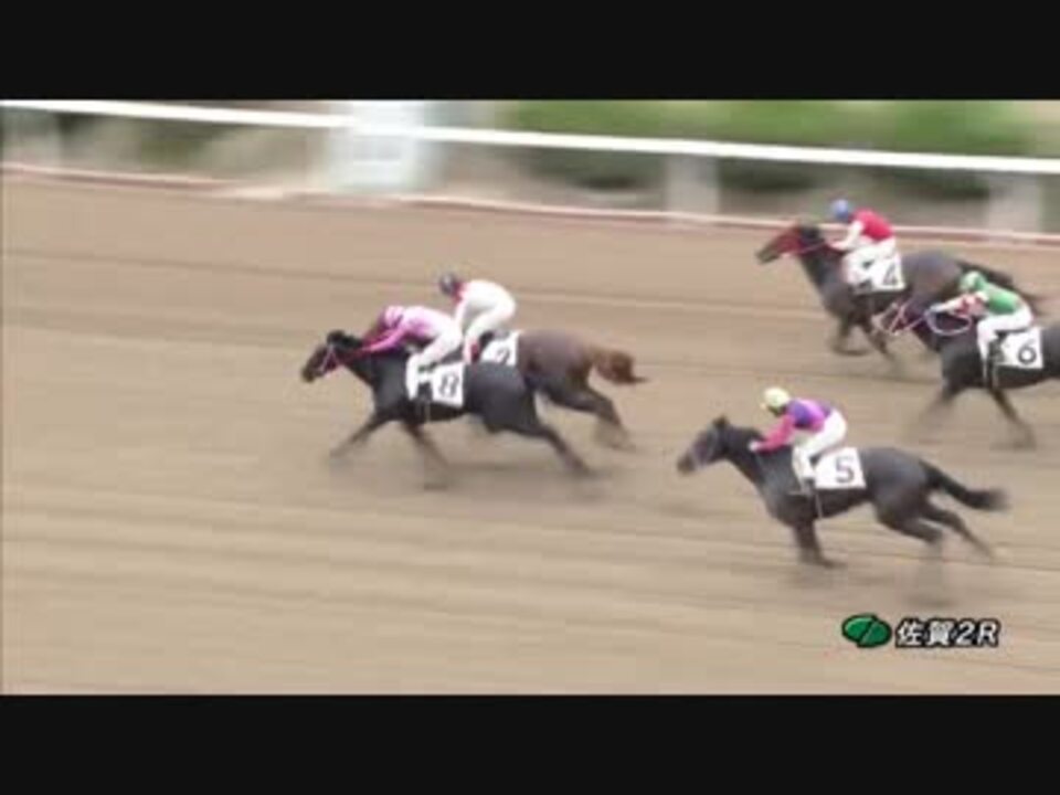 人気の トーセンブライト産駒 動画 11本 ニコニコ動画