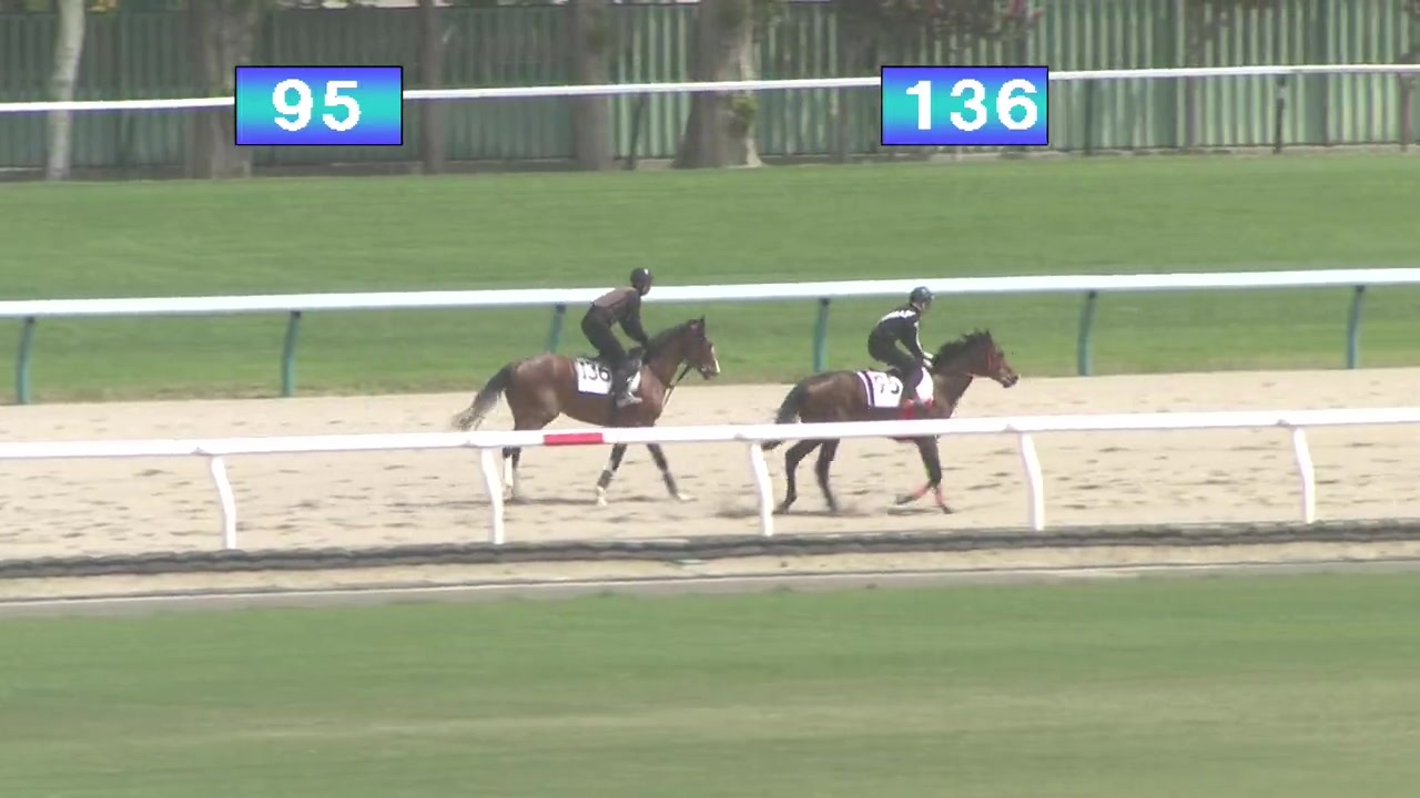 【2019 北海道トレーニングセール】公開調教第3クルー - ニコニコ動画