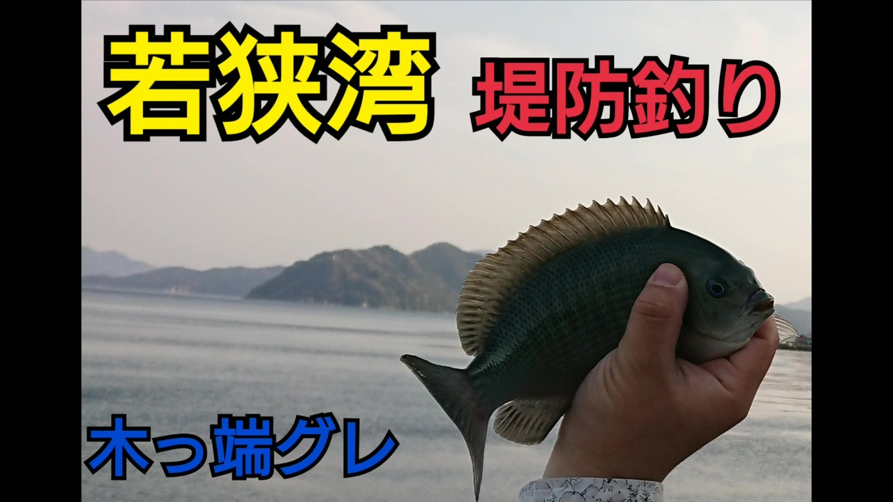 人気の ふかせ釣り 動画 56本 ニコニコ動画