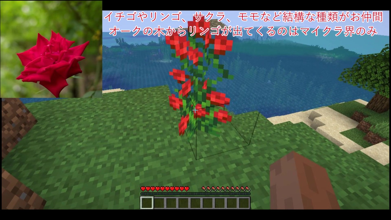 人気の Minecraftシリーズpart１リンク 動画 6 842本 37 ニコニコ動画