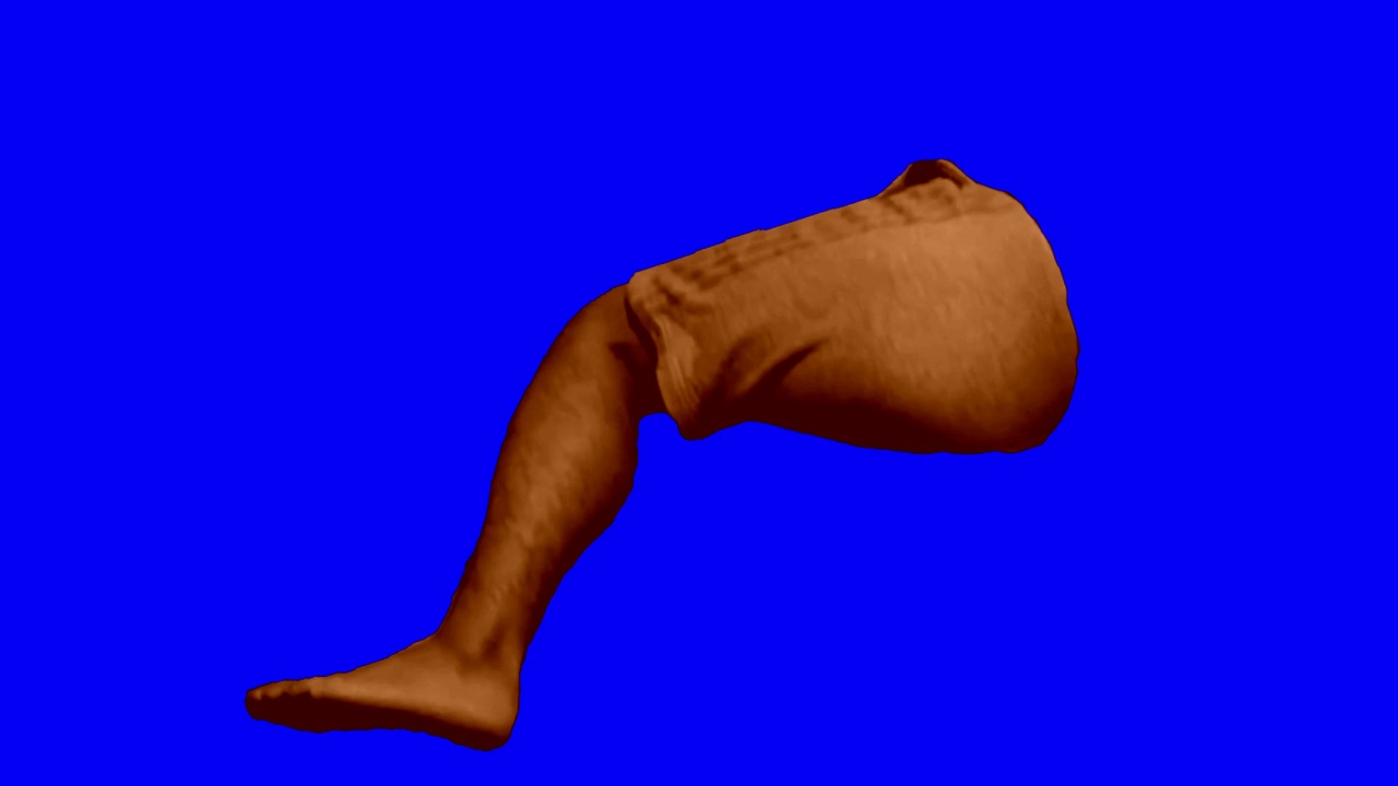 手羽先bb ニコニコ動画