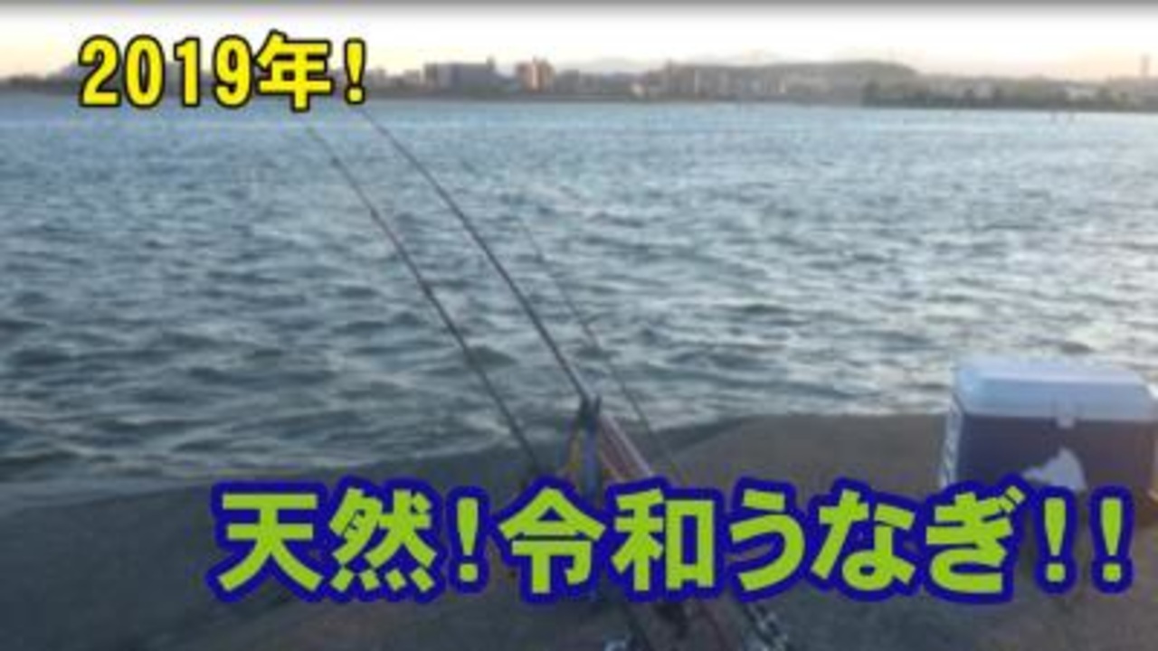 うなぎ釣り 天然 令和うなぎを釣りあげる ニコニコ動画