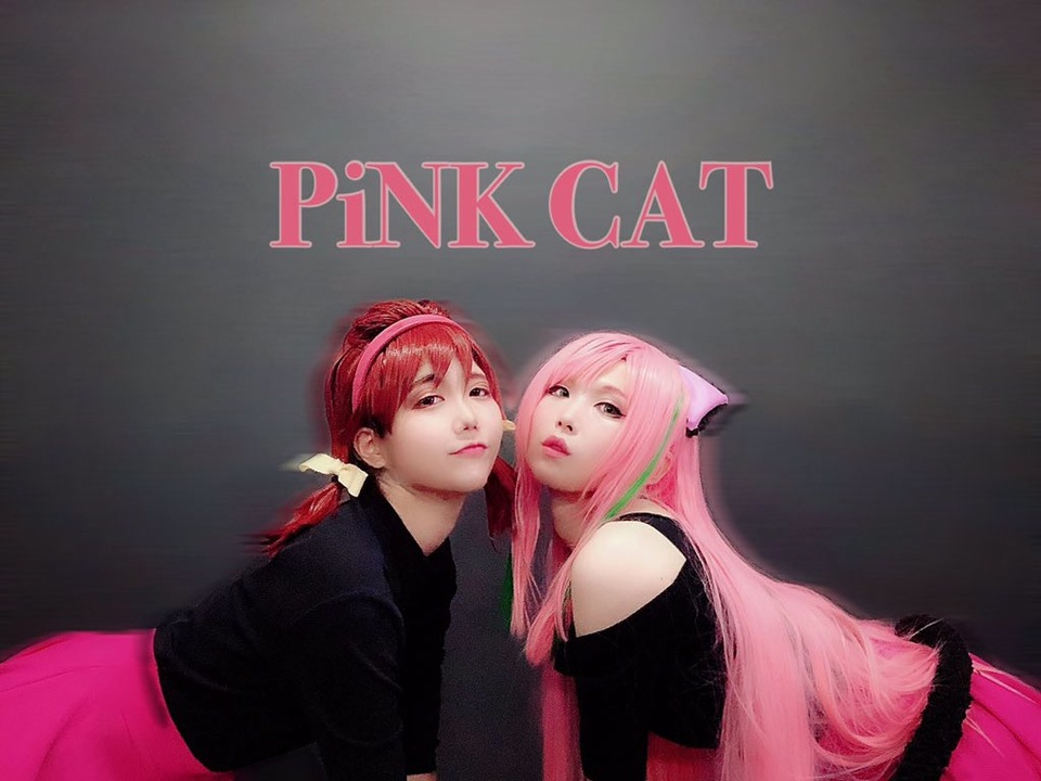 トトにゃー Pink Cat 踊ってみた ニコニコ動画