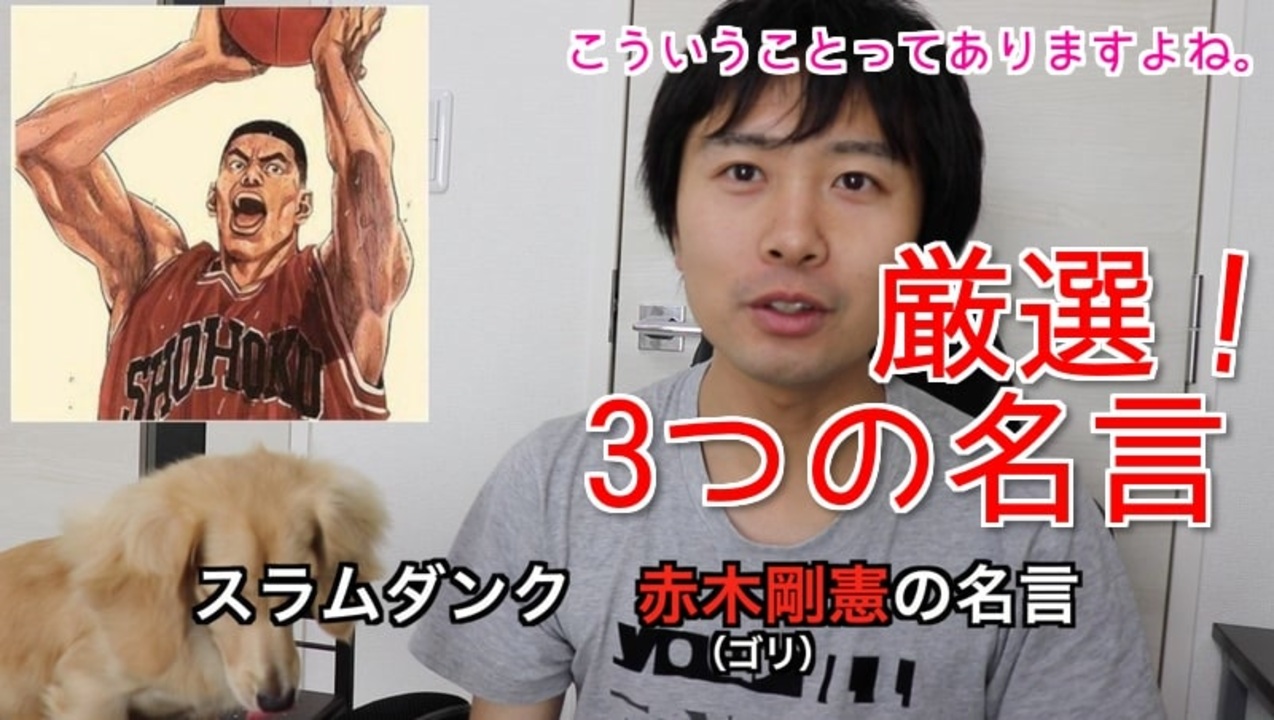 人気の スラムダンク バスケットボール 動画 92本 2 ニコニコ動画