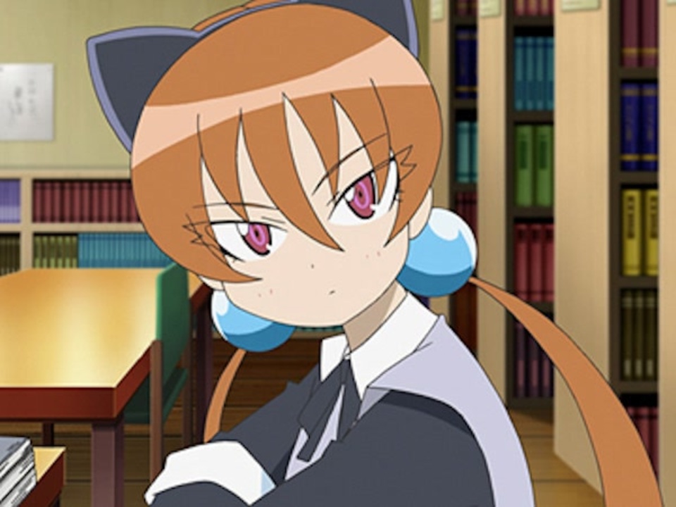 ケロロ 軍曹 アニメ 再開