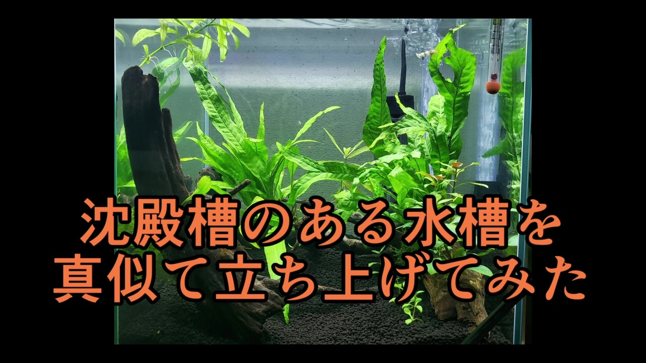 沈殿槽のある水槽を真似て立ち上げてみた+うちの水槽紹介 - ニコニコ動画