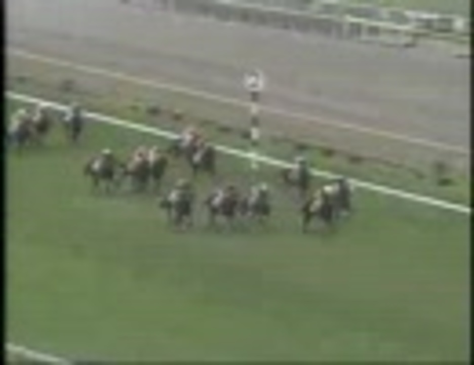 競馬】1993/東京優駿(日本ダービー)(G1) ウイニングチケット
