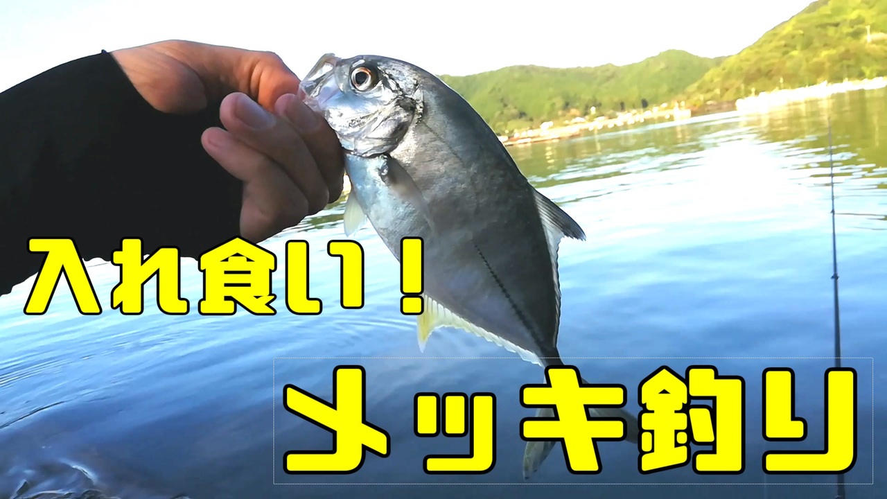 入れ食い メッキ釣り ニコニコ動画