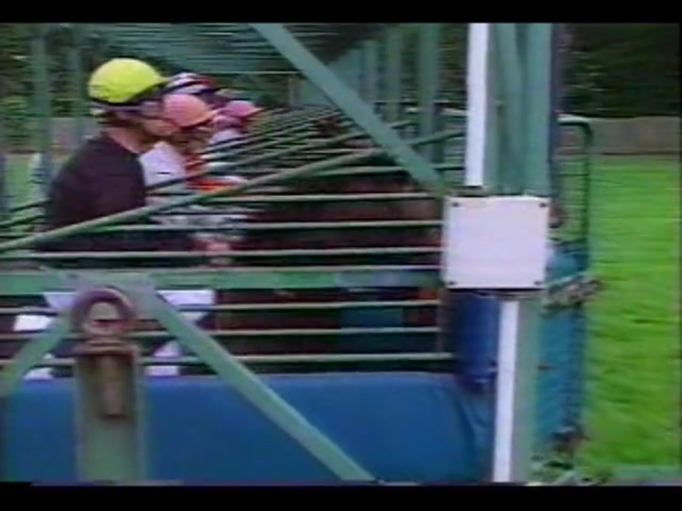 人気の 仏ダービー 動画 15本 ニコニコ動画