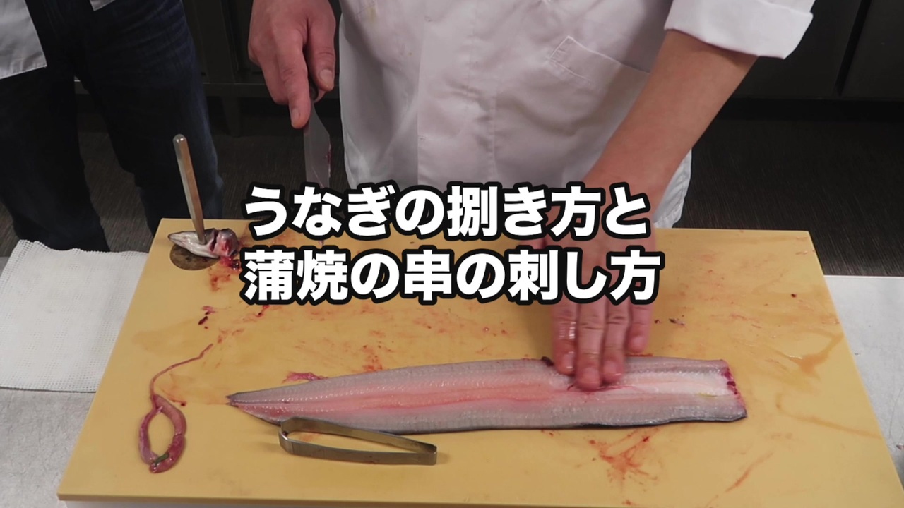 ラブリーうなぎ 捌き方 すべての魚の画像