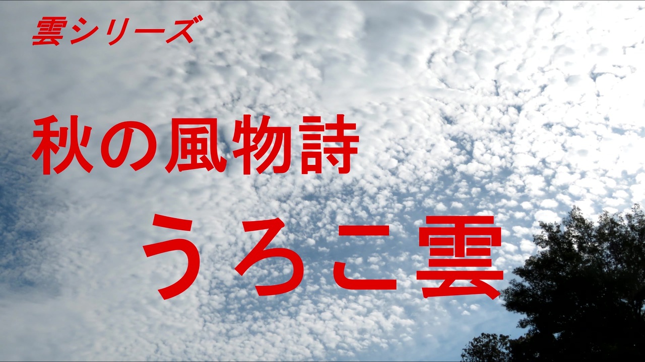 雲シリーズ 秋の風物詩 うろこ雲 ニコニコ動画