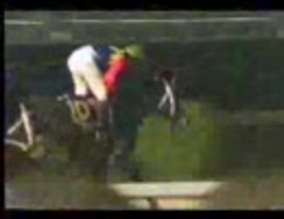 競馬】[1988年12月25日]有馬記念(GI) オグリキャップ☆芦毛対決