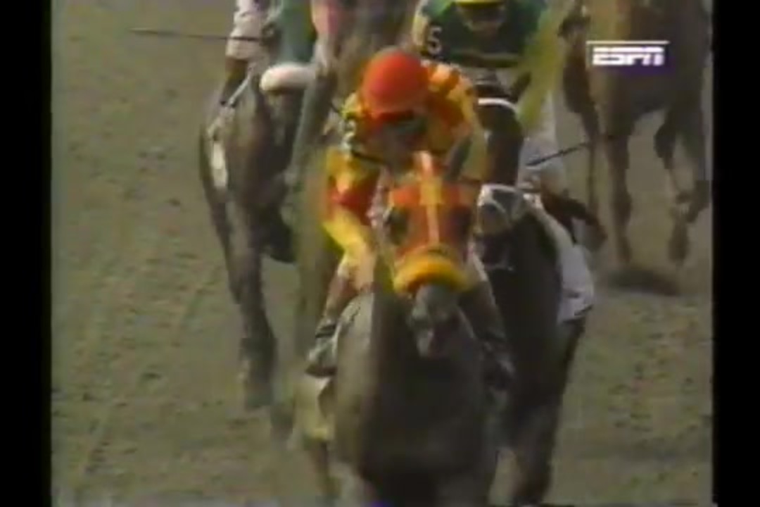 1996年 第29回ハスケル招待ステークス (Haskell Invitational Handicap)スキップアウェイ(Skip Away
