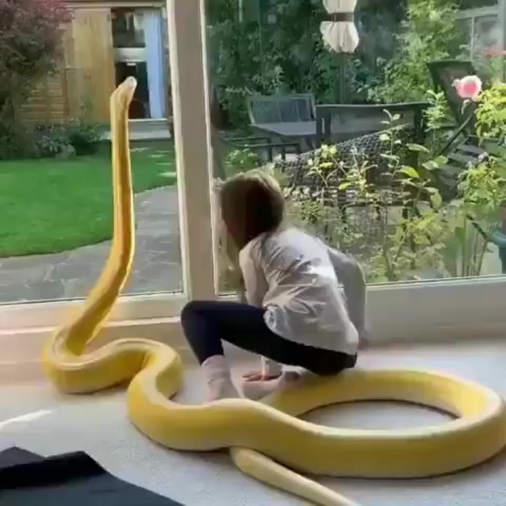 蛇と女の子