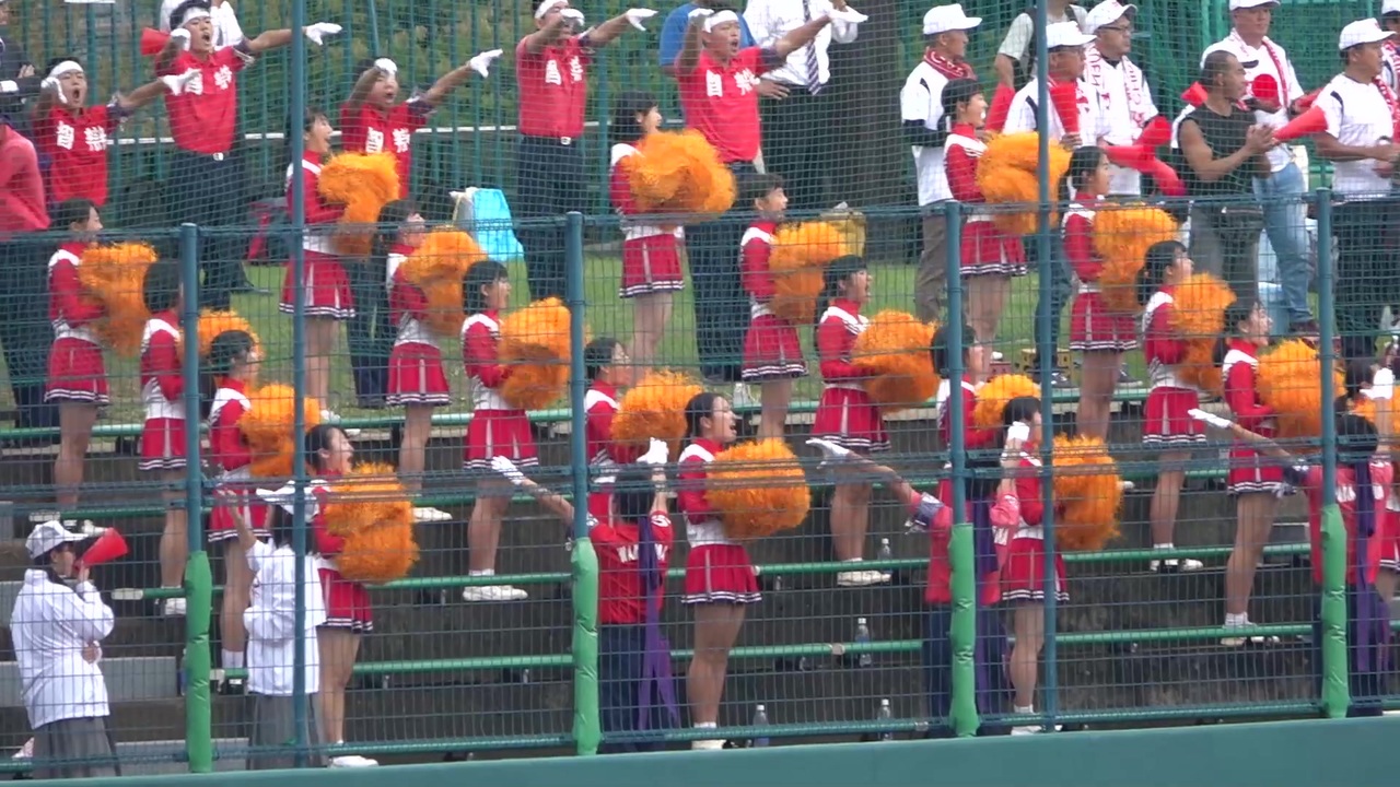 アフリカン シンフォニー 甲子園