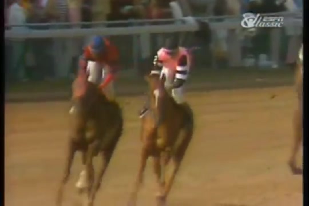 1978年 第104回ケンタッキーダービー（Kentucky Derby）アファームド